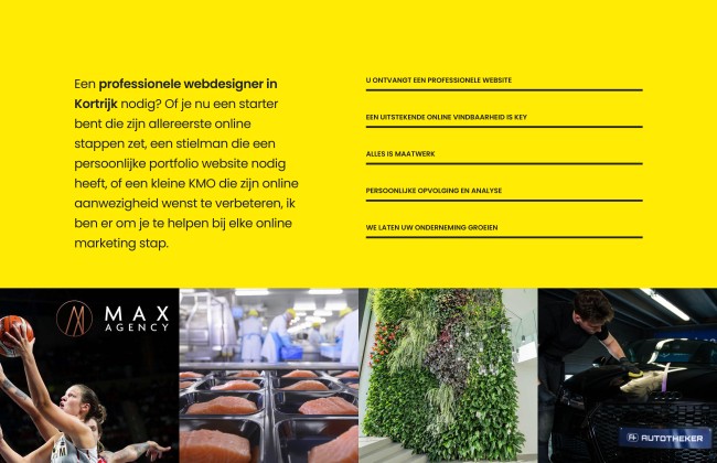 Website ontwerp te Kortrijk | Frederic Desauw kopie.jpg