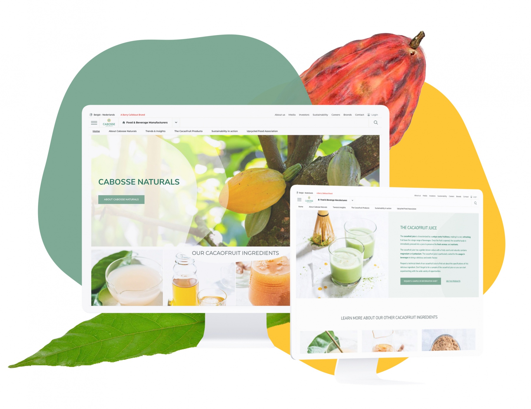 Cabosse Naturals: een website met sterke focus op SEO en content! - FeWeb